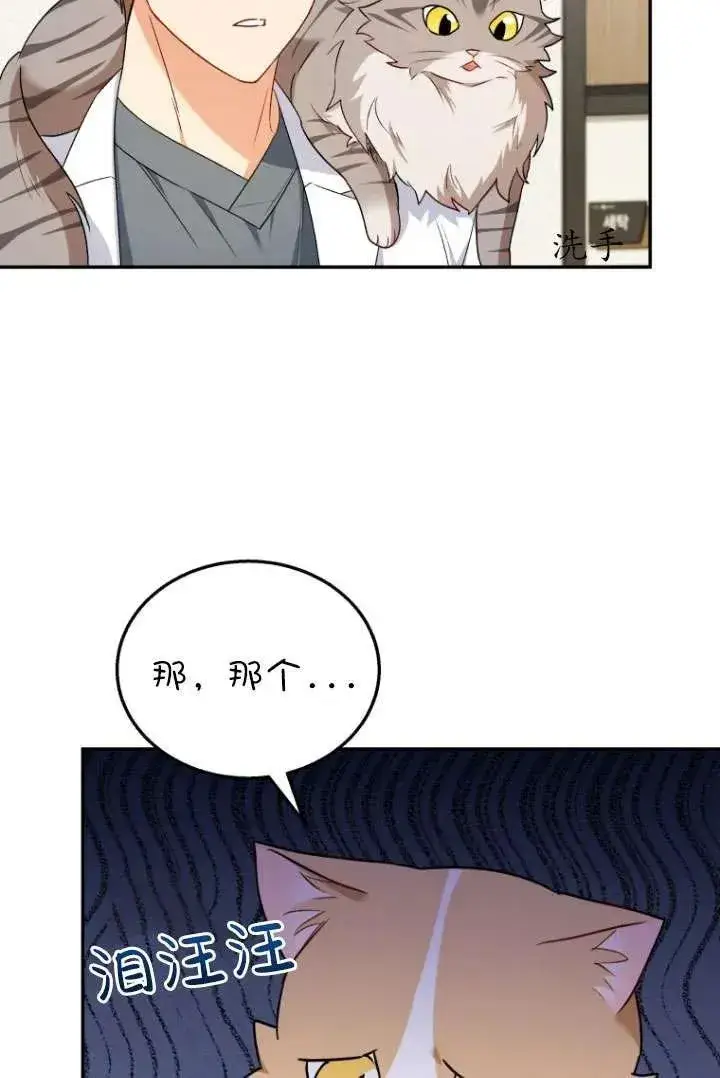 漫画《兽医先生！你好？》第25话第3张图