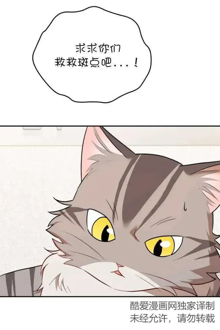 漫画《兽医先生！你好？》第25话第9张图