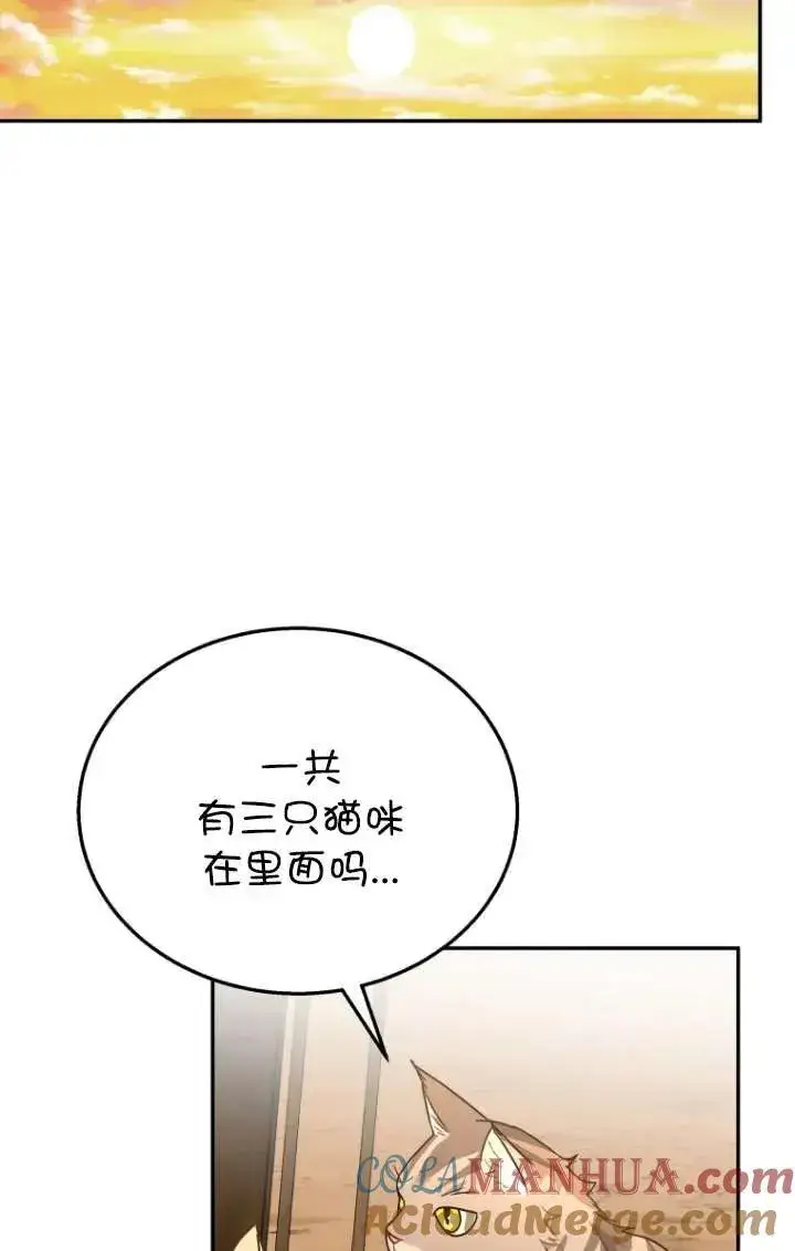漫画《兽医先生！你好？》第26话第17张图