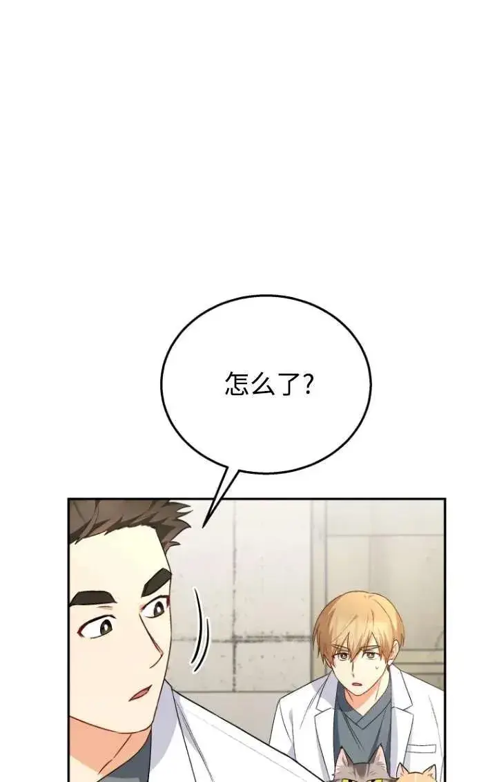 漫画《兽医先生！你好？》第26话第2张图
