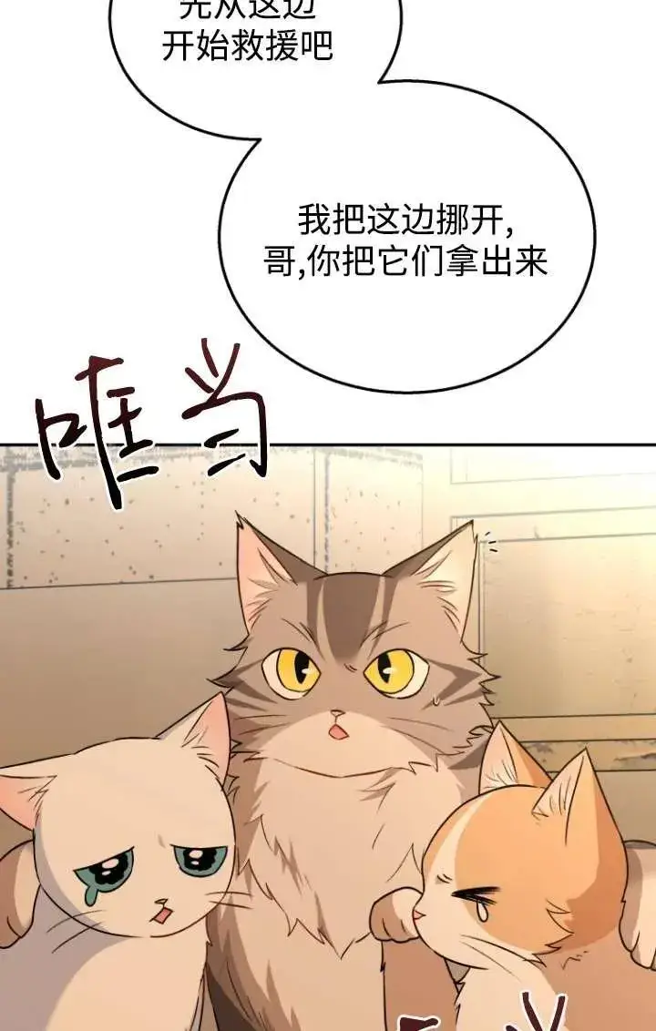 漫画《兽医先生！你好？》第26话第27张图