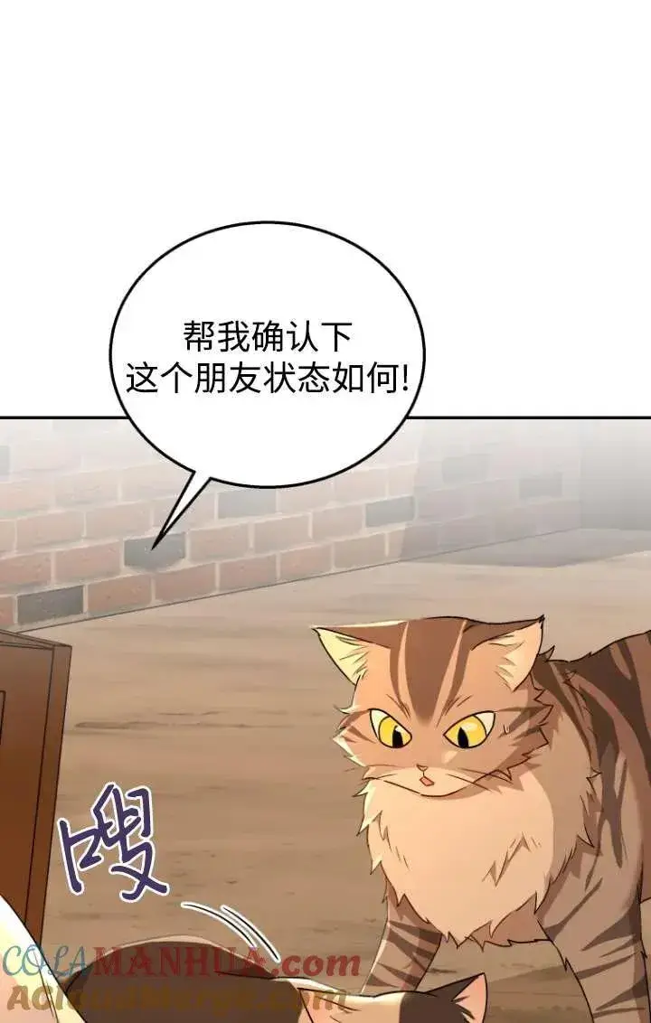 漫画《兽医先生！你好？》第26话第37张图