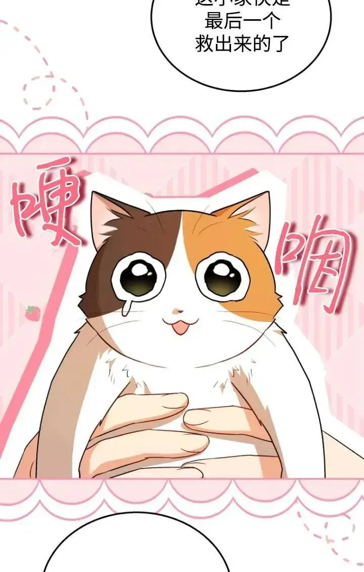 漫画《兽医先生！你好？》第26话第44张图