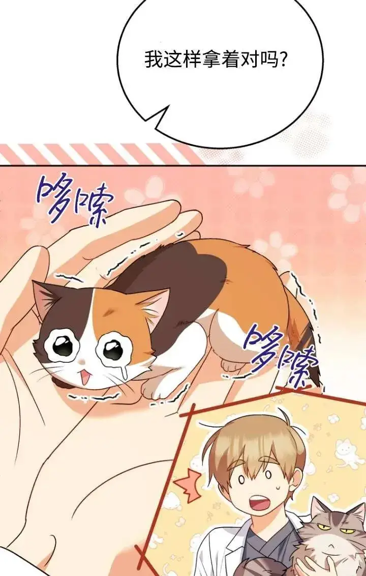 漫画《兽医先生！你好？》第26话第62张图