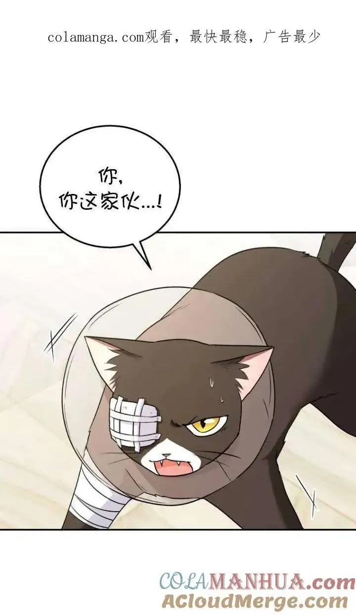 漫画《兽医先生！你好？》第27话第101张图
