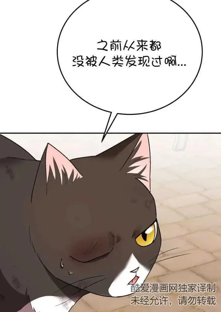 漫画《兽医先生！你好？》第27话第12张图