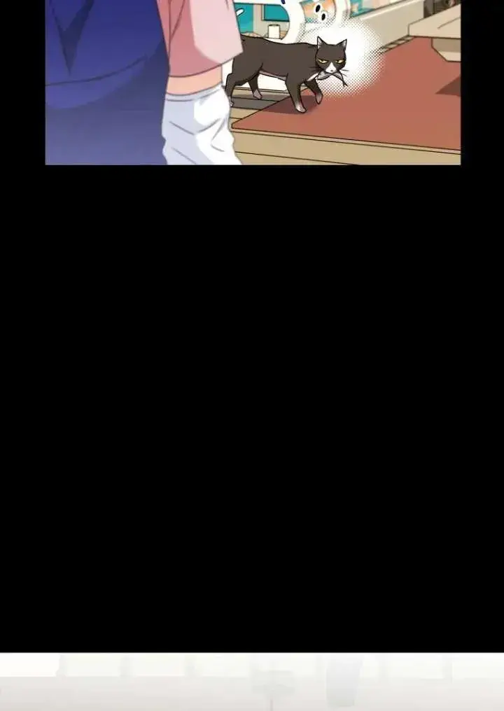 漫画《兽医先生！你好？》第27话第15张图