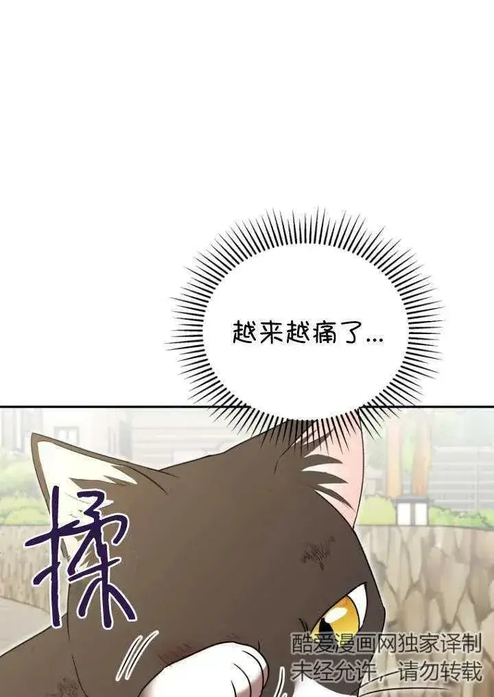 漫画《兽医先生！你好？》第27话第26张图