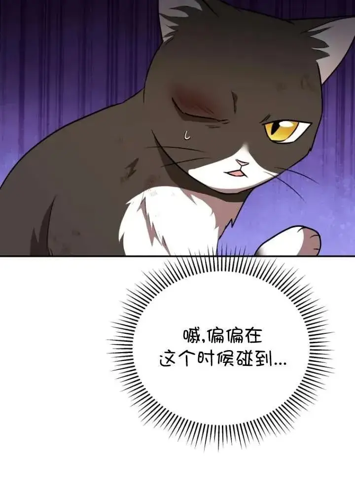 漫画《兽医先生！你好？》第27话第34张图