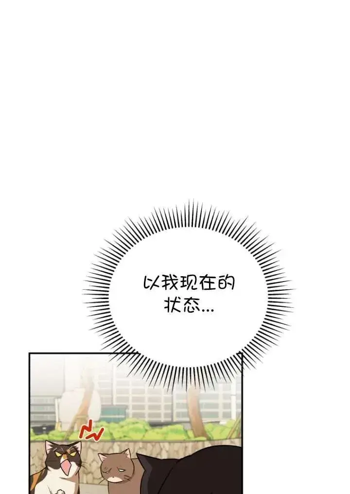 漫画《兽医先生！你好？》第27话第35张图
