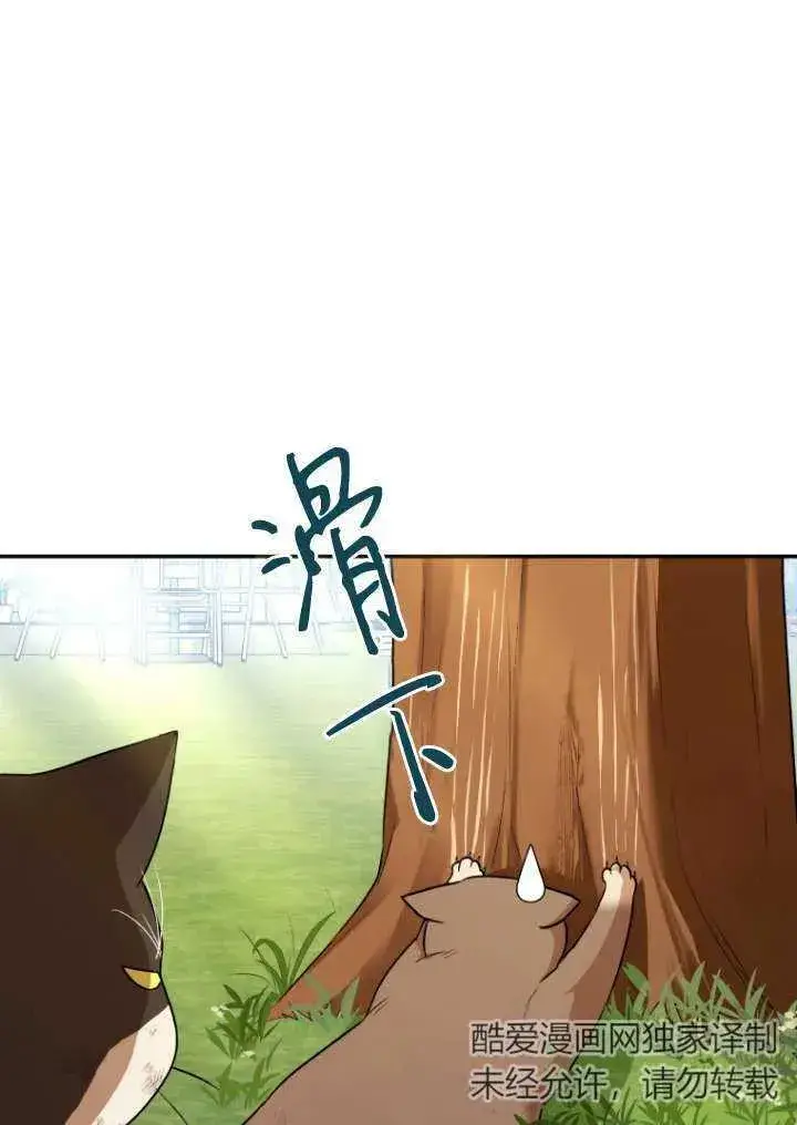 漫画《兽医先生！你好？》第27话第43张图