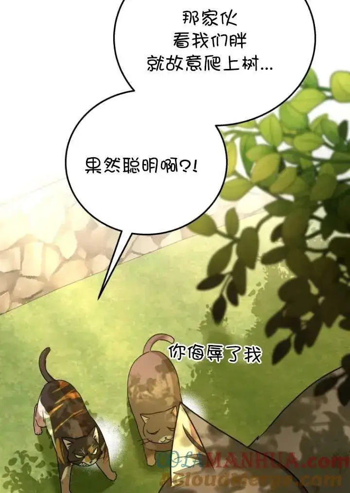 漫画《兽医先生！你好？》第27话第45张图