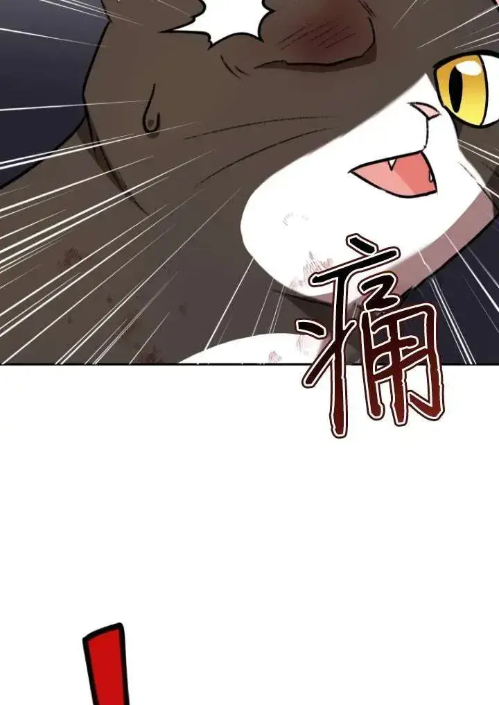 漫画《兽医先生！你好？》第27话第50张图