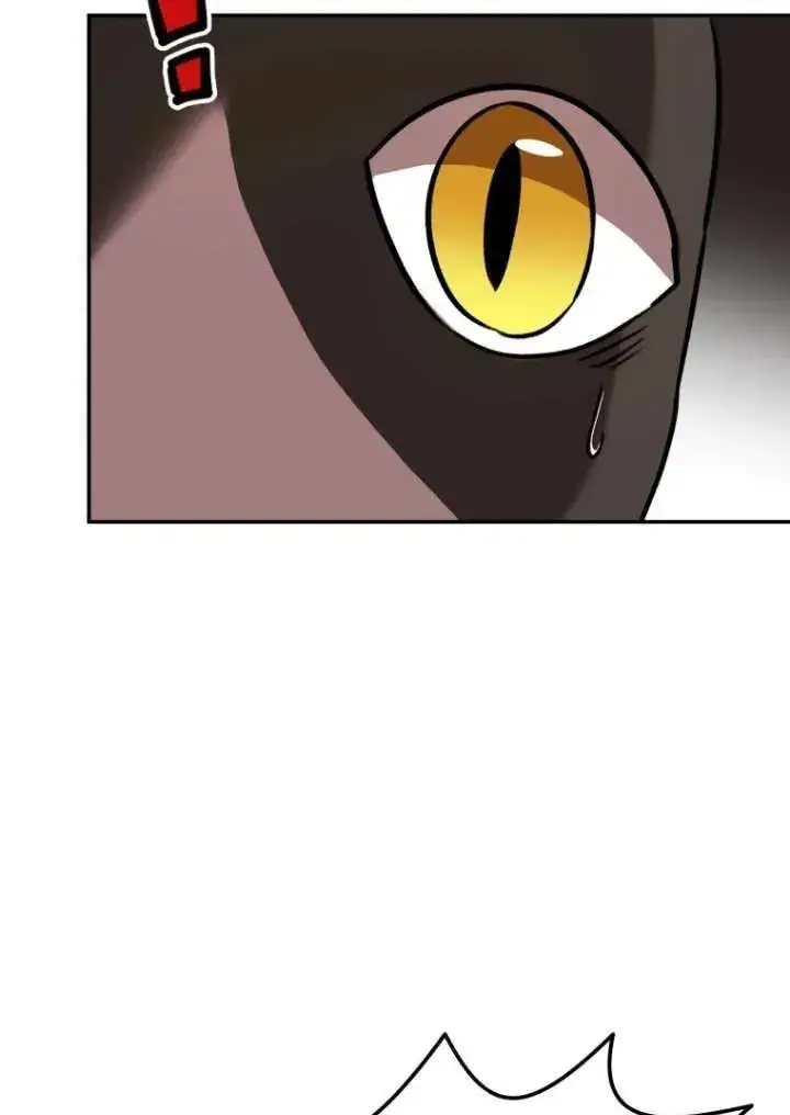 漫画《兽医先生！你好？》第27话第51张图