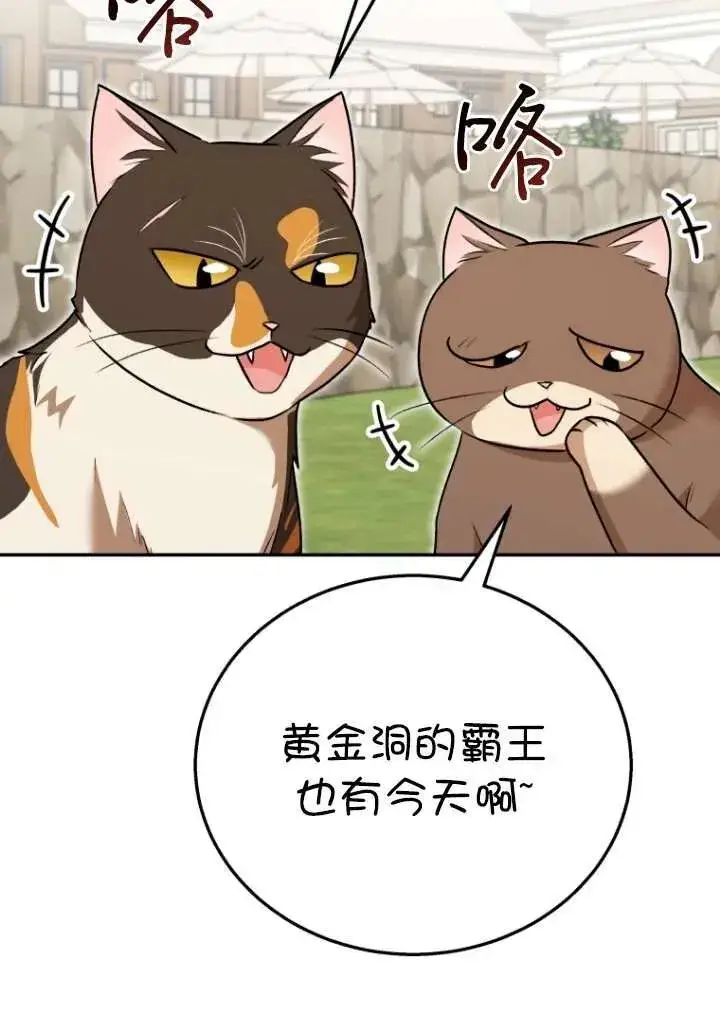漫画《兽医先生！你好？》第27话第62张图