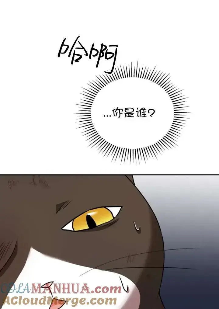 漫画《兽医先生！你好？》第27话第73张图