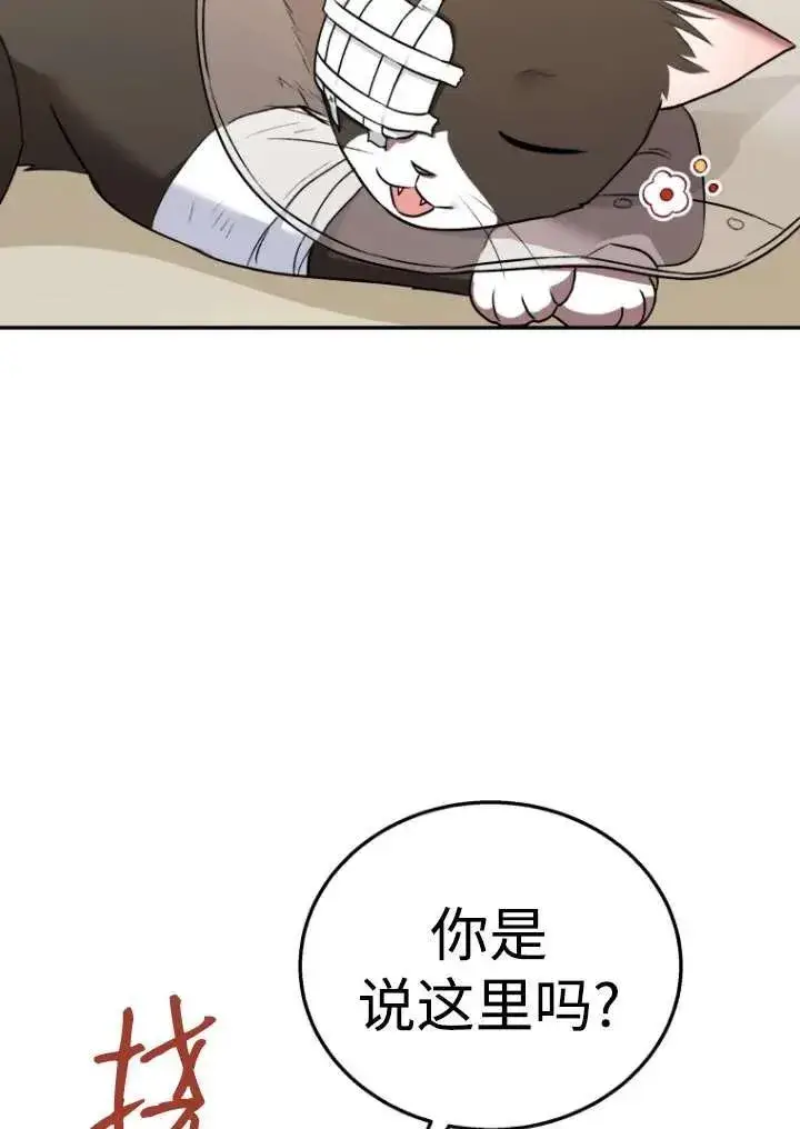 漫画《兽医先生！你好？》第27话第88张图