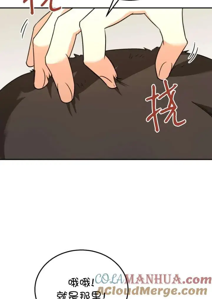 漫画《兽医先生！你好？》第27话第89张图