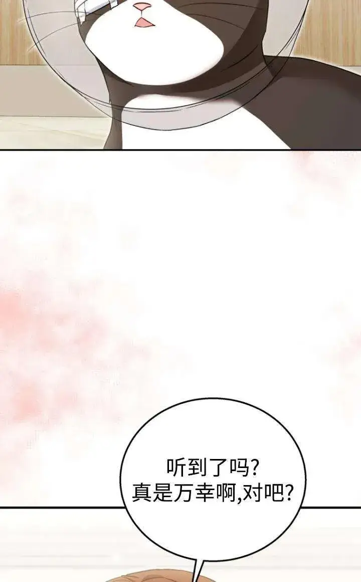 《兽医先生！你好？》第28话图17