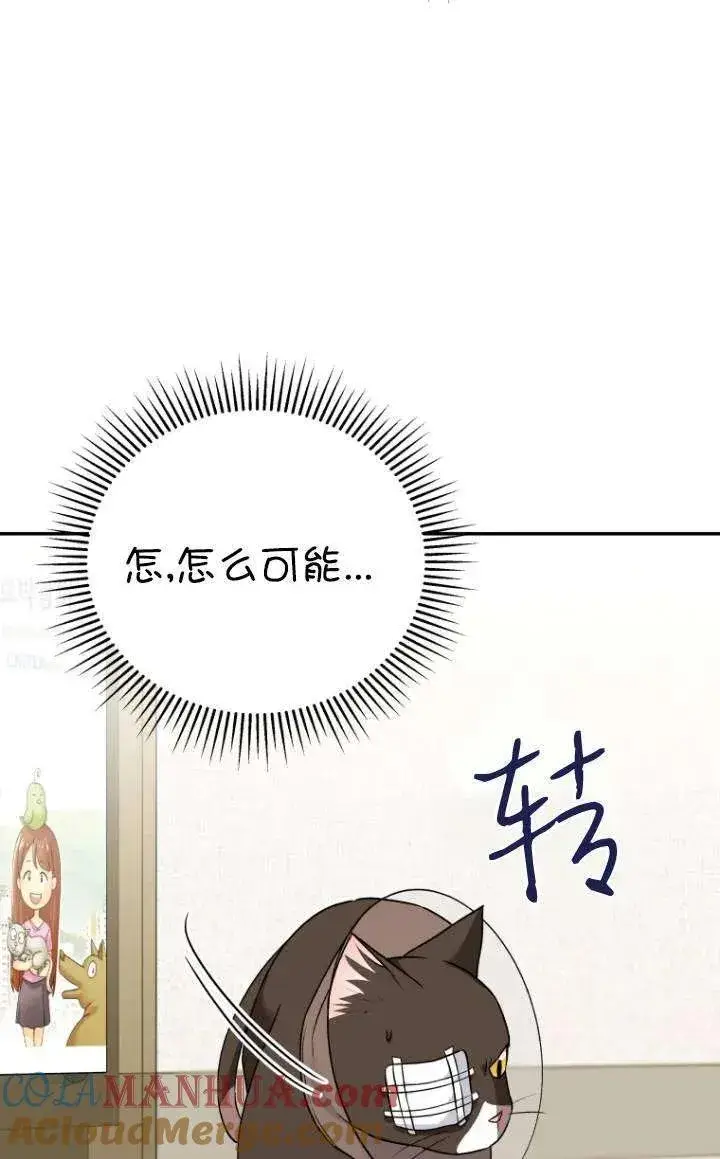 《兽医先生！你好？》第28话图25