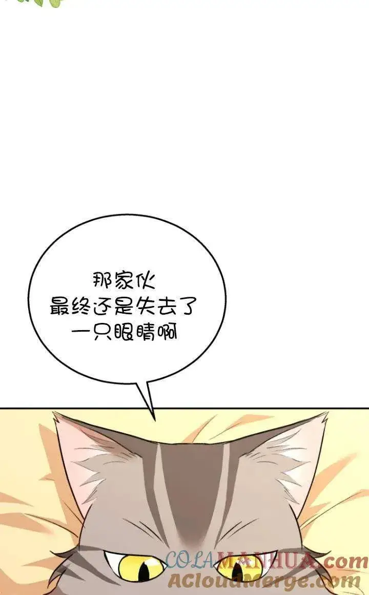 《兽医先生！你好？》第28话图52