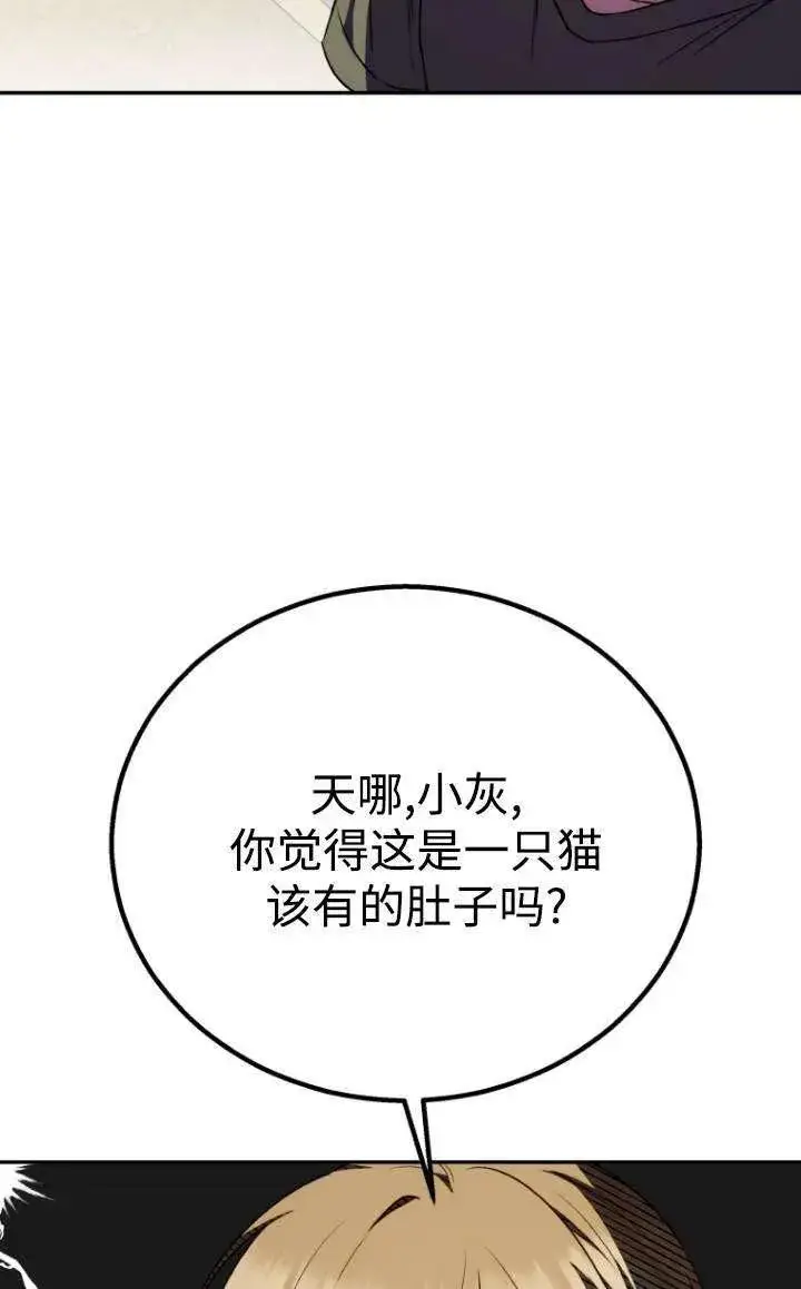《兽医先生！你好？》第28话图57