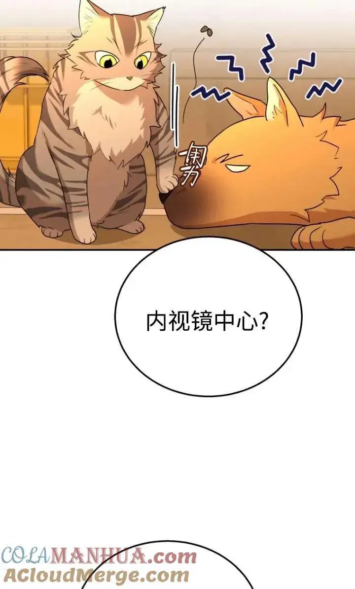 漫画《兽医先生！你好？》第29话第40张图