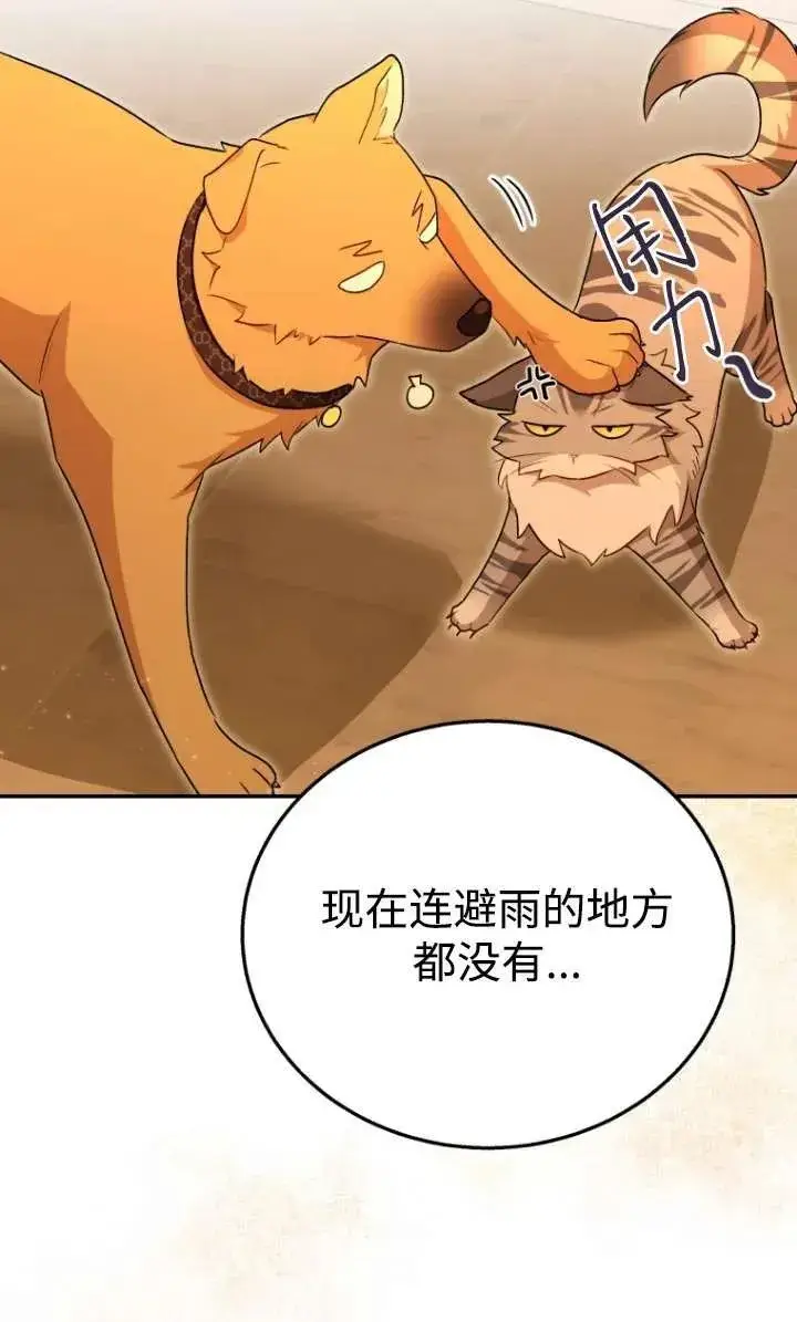 漫画《兽医先生！你好？》第29话第72张图