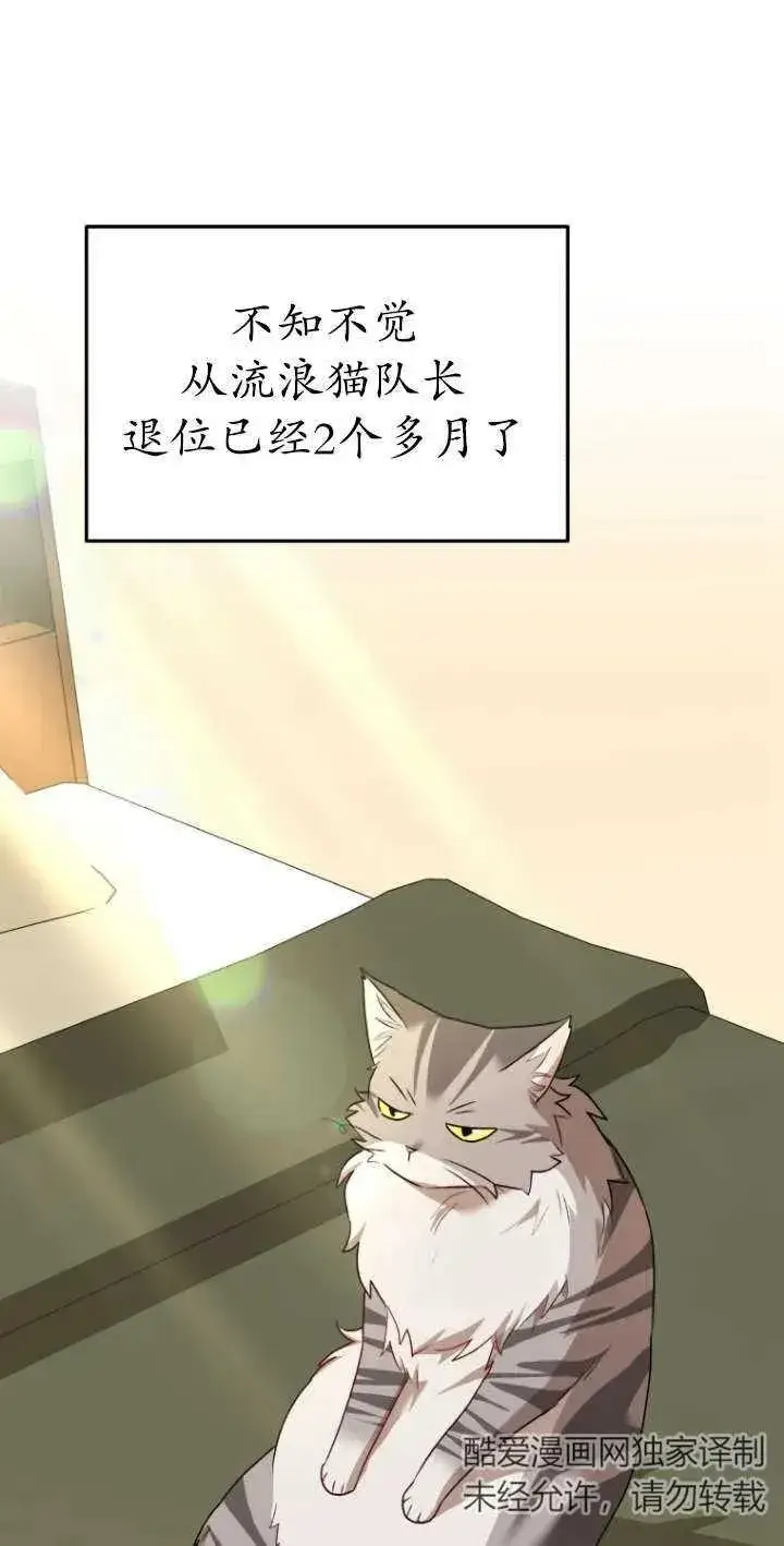 漫画《兽医先生！你好？》第30话第15张图