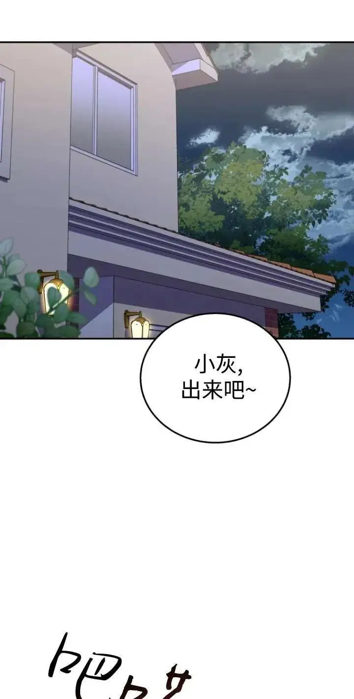 漫画《兽医先生！你好？》第30话第19张图
