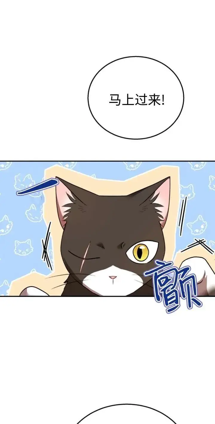 漫画《兽医先生！你好？》第30话第26张图