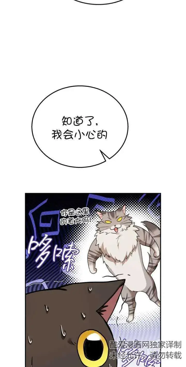 漫画《兽医先生！你好？》第30话第28张图