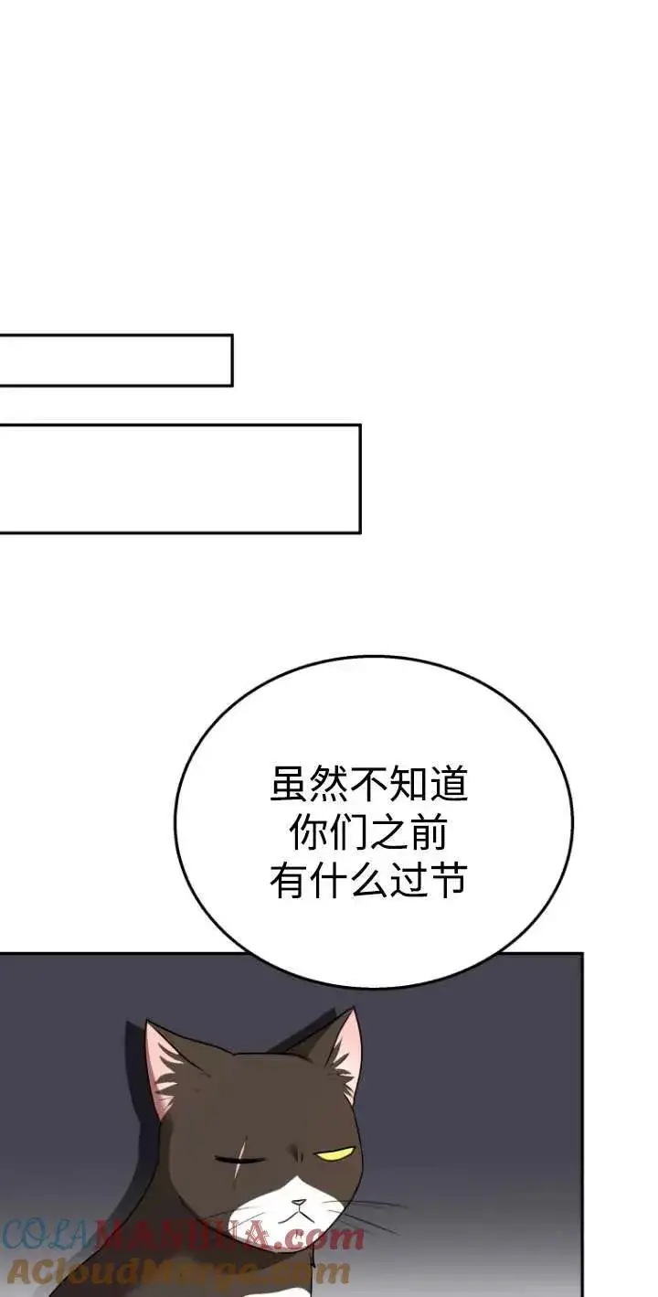 漫画《兽医先生！你好？》第30话第49张图