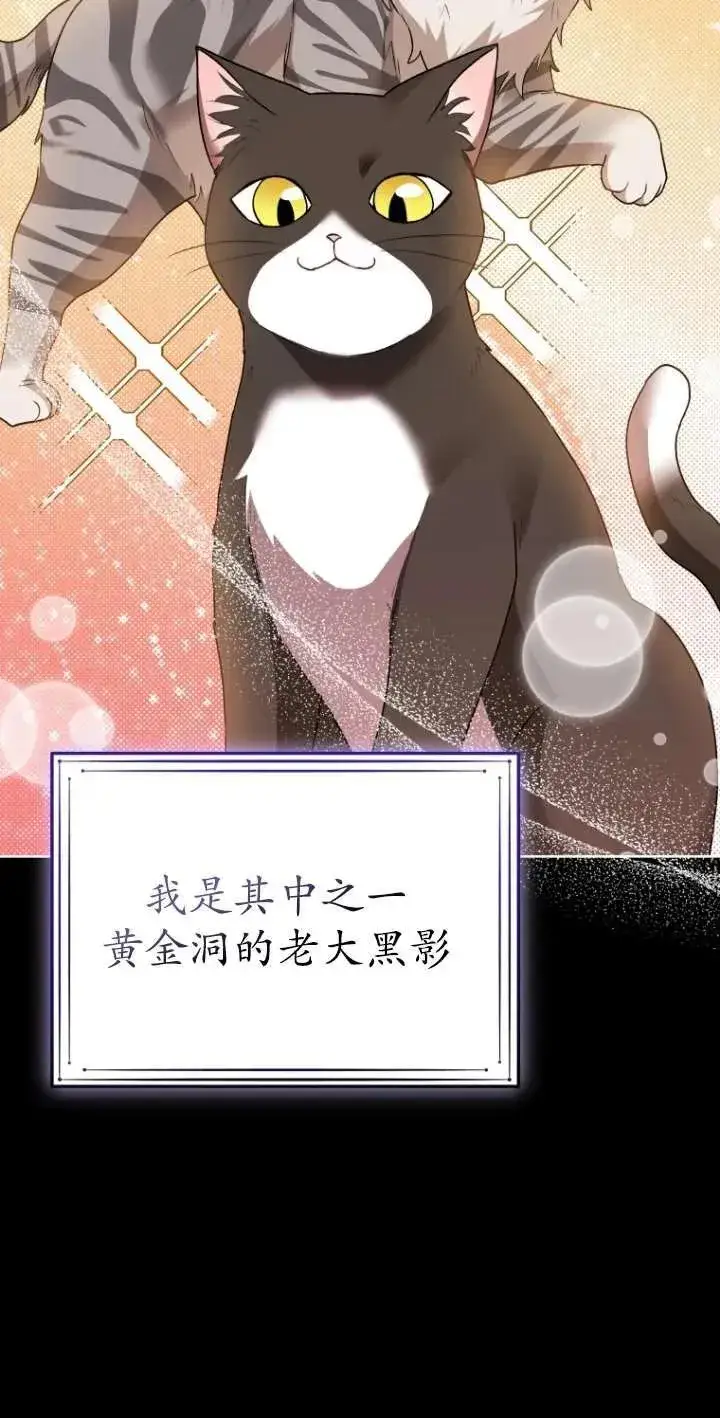 漫画《兽医先生！你好？》第30话第59张图