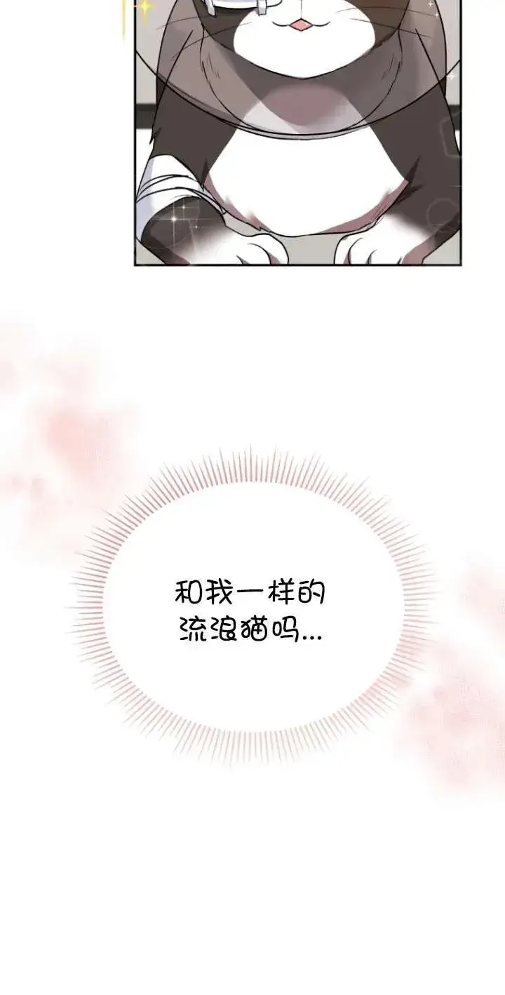漫画《兽医先生！你好？》第30话第6张图