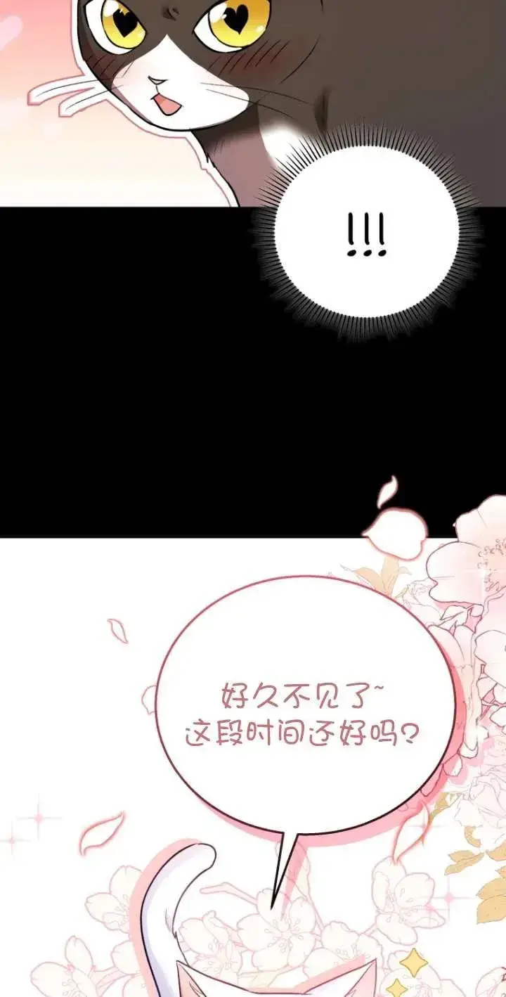 漫画《兽医先生！你好？》第30话第62张图