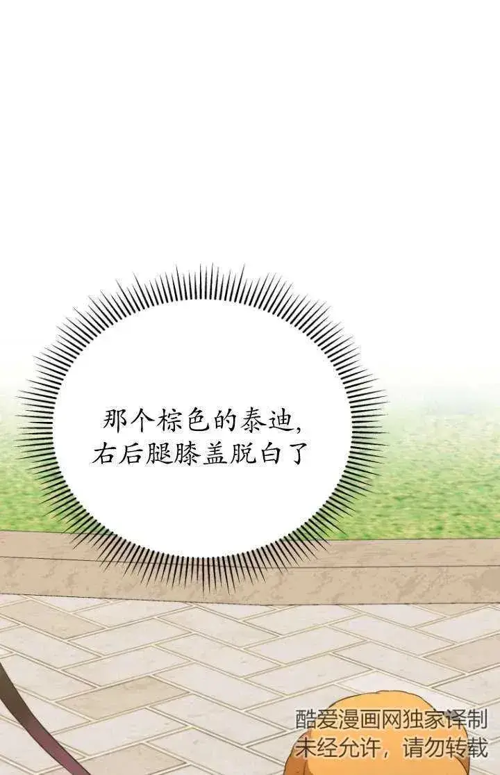 《兽医先生！你好？》第31话图26
