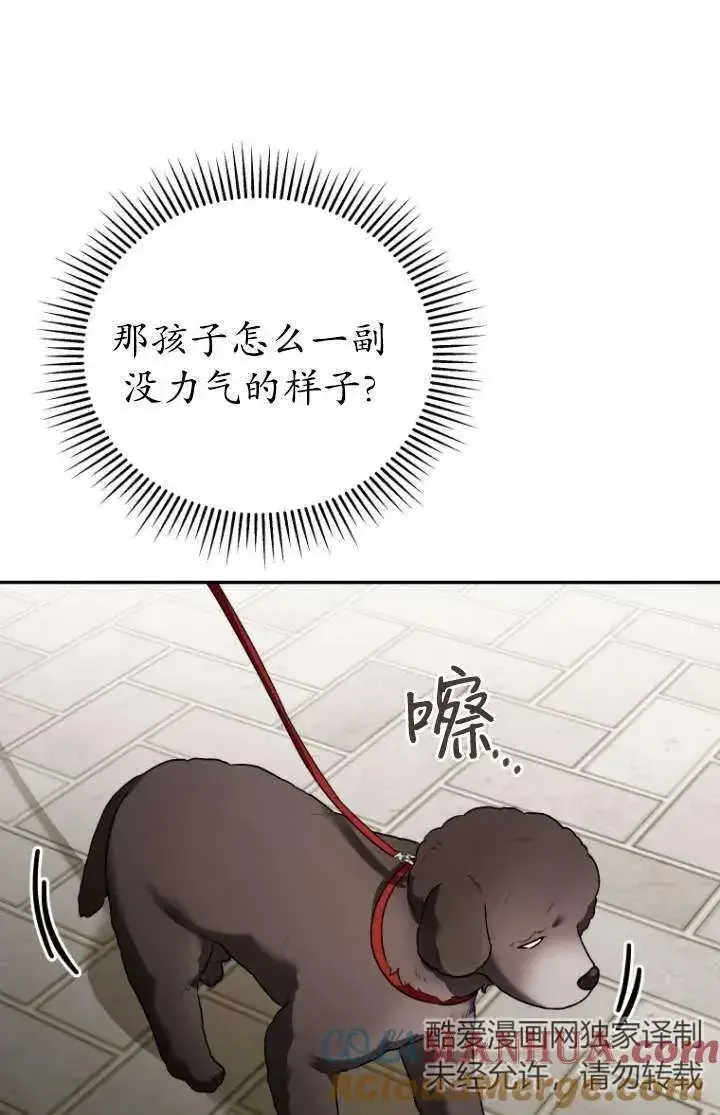 《兽医先生！你好？》第31话图34