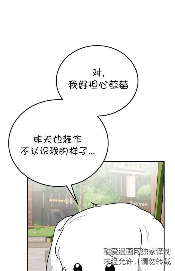 《兽医先生！你好？》第31话图69