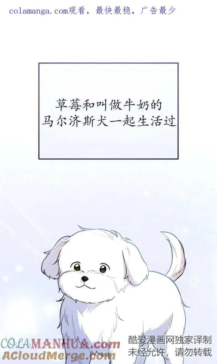 《兽医先生！你好？》第31话图81