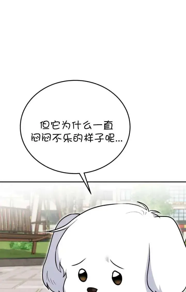 《兽医先生！你好？》第32话图19