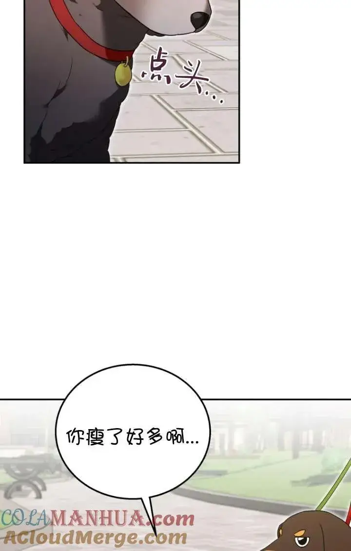 《兽医先生！你好？》第32话图37