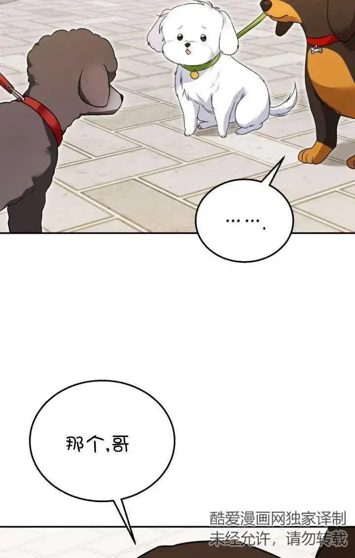 《兽医先生！你好？》第32话图38