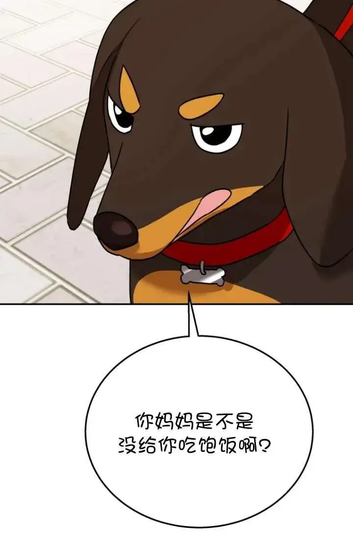 《兽医先生！你好？》第32话图39