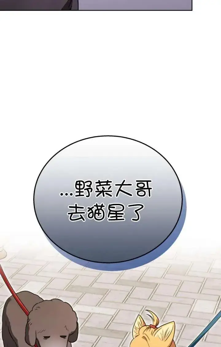 《兽医先生！你好？》第32话图71
