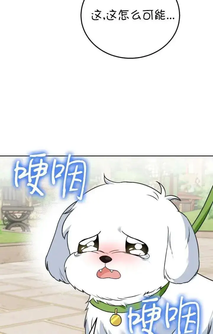 《兽医先生！你好？》第32话图74