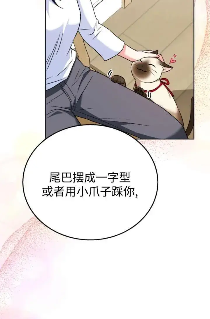 《兽医先生！你好？》第33话图36