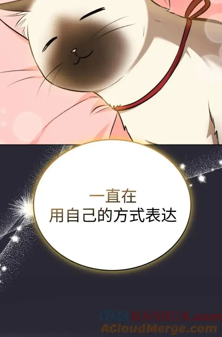 《兽医先生！你好？》第33话图40