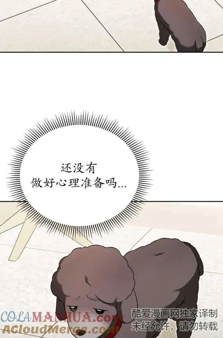《兽医先生！你好？》第33话图70
