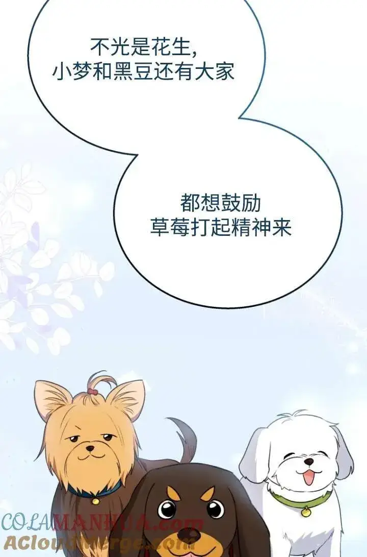 《兽医先生！你好？》第33话图73